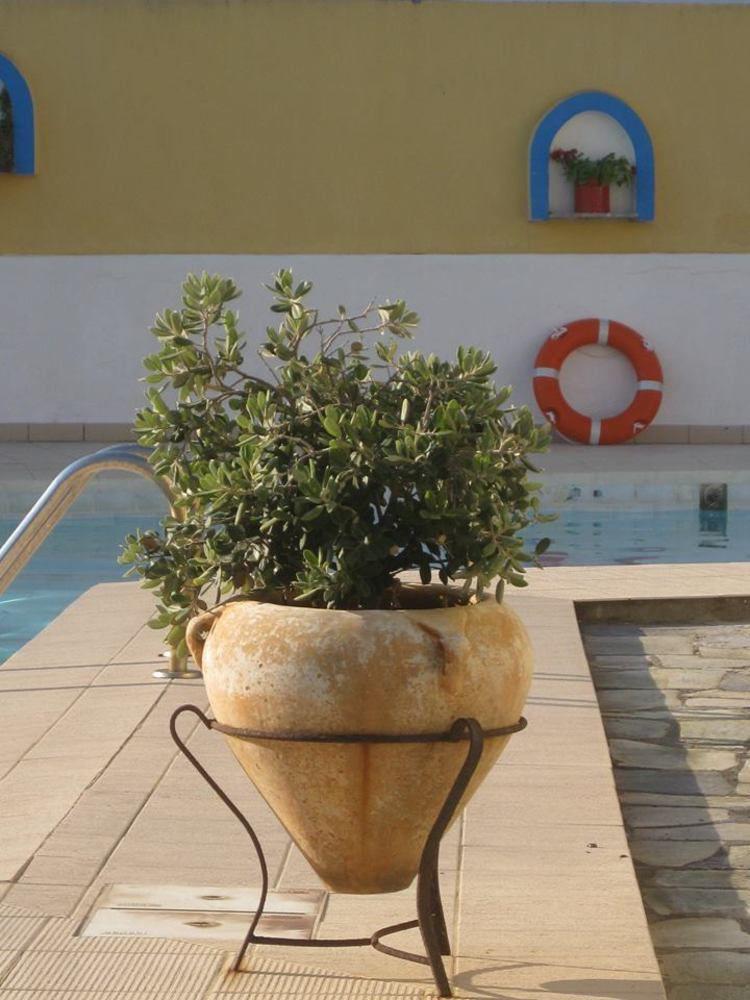 Porfyris Hotel Mandraki  Екстер'єр фото
