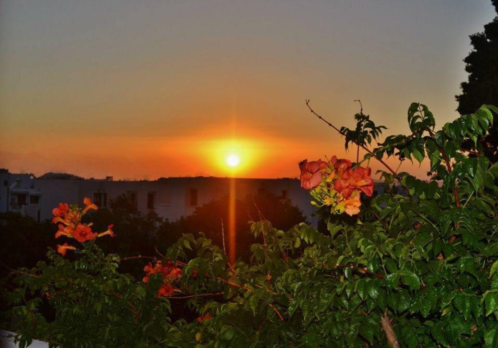 Porfyris Hotel Mandraki  Екстер'єр фото